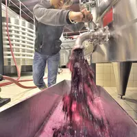 Les opérations d'extraction telles que les remontages doivent être raisonnées selon le profil du vin.