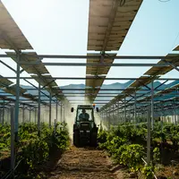 Le démonstrateur agrivoltaïque de Tresserre dans les Pyrénées-Orientales, installé en 2018 et pionnier du genre, a connu ses deuxième vendanges en 202