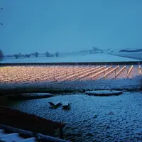 Le rayonnement infrarouge des câbles lumineux Frolight est moins sensible aux effets du vent.