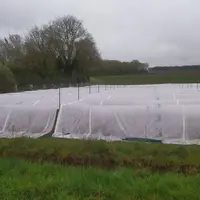 Le voile d'hivernage apporte un gain de température autour de 1,5 °C.