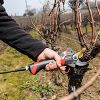 La location longue durée de sécateurs électriques lisse les coûts d'utilisation et supprime les immobilisations liées aux pannes.