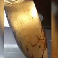 La maladie de la graisse provoque des amas huileux dans les vins.