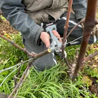 Le sécateur PS32 d'Arvipo dispose d'une sécurité afin d'éviter que les utilisateurs ne se coupent les doigts.