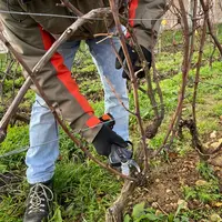 Le sécateur électrique sans fil de Bahco a donné satisfaction lors des tests de taille sur vigne entre deux et quatre ans.