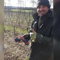Romain Henrion, consultant viticole, apprécie le rapport qualité/prix des sécateurs sans fil.
