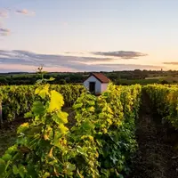 L'outil d'autodiagnostic lancé par le vignoble du Centre-Loire est complémentaire de la charte environnementale qu'il a préalablement diffusée.