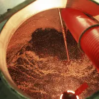 L'OIV distingue à présent deux grandes catégories de tanins et quatre sous-catégories, avec chacune ses spécificités.