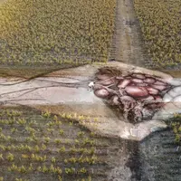 Le Pouvoir de la Terre est transcrit dans l'image d'une offrande  pour créer un grand vin.