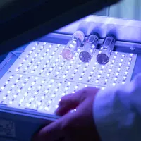 Le système Light 7 Stress développé par la société Ever est une mallette dotée de leds. Il reproduit l'équivalent d'un mois d'une lumière de supermarc