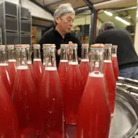 Les effervescents rosés sont les vins de base les plus instables. Si la malo n'est pas réalisée avant mise, une bonne stabilisation est indispensable.