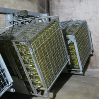 Certains vignerons réalisent un remuage, suivi d'un dégorgement, à l'instar des champagnes.