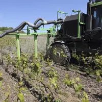 Les traitements phytosanitaires seront probablement aussi récurrents à l'avenir, mais les cibles différentes.
