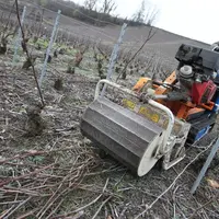 Le broyage des sarments et l'utilisation d'un chenillard sont deux pratiques limitant les phénomènes de ravinement et d'érosion dans les vignes en pen