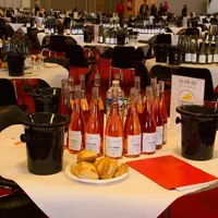 Les jurys du concours général agricole des vins 2021 dégusteront non pas à Paris mais dans 4 villes en région, entre le 13 et le 24 mai 2021.  © CGA