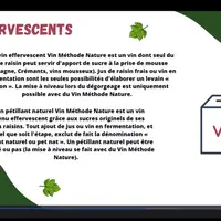 L'assemblée générale 2023 du syndicat des Vin méthode nature a été l'occasion de redéfinir les Pet'Nat.