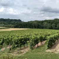 Instaurée pour limiter la concentration du foncier agricole, la loi Sempastous renforce le rôle des Safer.