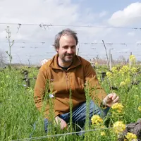 Victor Moreaud, vigneron à Saint-Émilion, en Gironde, accorde une grande importance aux couverts végétaux dans les vignes.