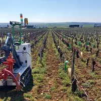 Dans les vignes étroites de la Cuma bourguignonne, le robot Jo, de Naïo Technologies, travaille entre 1,2 et 2 hectares par jour.