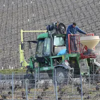 Fertilisation en viticulture. sac d'engrais organique sous forme de granulés, destiné à une parcelle de vignes en Champagne. remplissage de la trémie