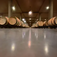 Chai à barriques au Château de Fieuzal en appellation Pessac Leognan. Elaboration de vins bordelais. Chai à barriques. élevage de vin. passage en fût