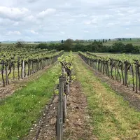 Pour toute modification de son outil de production, l'élaboration d'un prévisionnel est une étape indispensable.