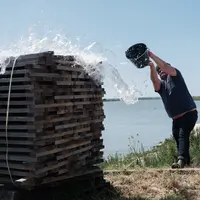 Installés à Éguille-sur-Seudre,en Charente-Maritime, avec la complicité de l'ostréiculteur Papin-Jacob, les merrains de chêne bénéficient d'une ambian