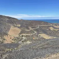 Vignes épargnées par le feu entourées de vignes abandonnées et friches brûlées à Collioure dans les Pyrénées Orientales.