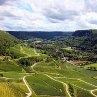 Prix des vignes en France