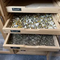 Le pissenlit et l'ortie font partie des plantes les plus intéressantes en viticulture.