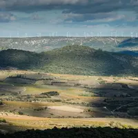 Tant en Languedoc qu'en Roussillon, les interprofessions sont dans la tourmente. Les départs s'accumulent.