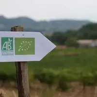 Après plusieurs années de forte croissance, la viticulture biologique voit les entrées en conversions diminuer en 2022.