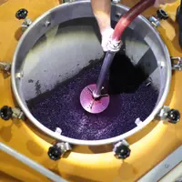 Vendanges 2022 a Cahors. Vigneron pigeant avec une canne inox les raisins.