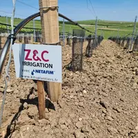 Ce système d'arrosage de la vigne par goutte-à-goutte a été étudié pour les plantiers. On peut ainsi les laisser en places trois ans puis les réutilis
