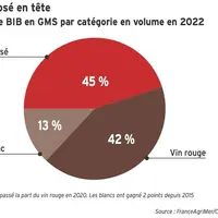 Vin en BIB : des créneaux encore à exploiter