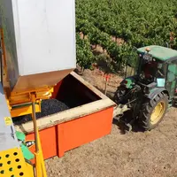 Machine à vendanger Grégoire en train de verser les raisins dans la benne du tracteur.