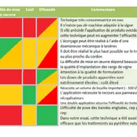 Aucun produit ou technique n'atteint à ce jour l'efficacité du Pyrévert pour lutter contre Scaphoideus titanus.