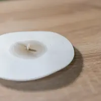 La solution de sol migre peu à peu sur le papier-filter Whatman, donnant une "photo" de l'état du sol.