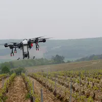 Démonstration de traitement phytosanitaire (à l'eau) des vignes avec un drone, au Champagne Serge Mathieu, à Avirey-Lingey dans l'Aube, le 4 mai 2022.