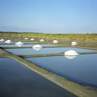 Attention, cette photo n'est pas une photo Réusiir. © Florence Carreras/Inra. Marais salant de la presqu'île de Guérande en Loire-Atlantique. Producti