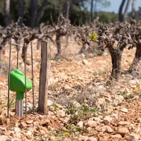 La balise connectée de Brad technology possède des capteurs dans le sol et en surface.