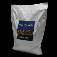 Vici myco P + de Koppert est un biostimulant composé de champignons symbiotiques racinaires (Glomus intraradices) et de bactéries fixatrices d’azote (