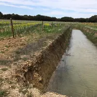 Installer une noue dans sa parcelle viticole permet de récupérer l’eau de pluie et l’infiltrer.