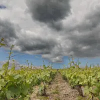 D'après les prévisions, les précipitations devraient devenir de plus en plus variables et imprévisibles sur le territoire français.