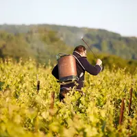 Vigneron en biodynamie dans le vignoble de Champagne en Marne preparant et pulverisant une preparation biodynamique de valeriane et de silice dans ses