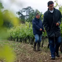 Vigne / viticulteurs / Jean-Claude et Vincent Favereau, le père et le fils, dans les vignes. famille. transmission de savoir-faire.