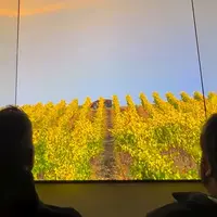 Kubota dévoile au CES 2024 à Las Vegas un concept de tracteur vignes et vergers robotisé électrique.
