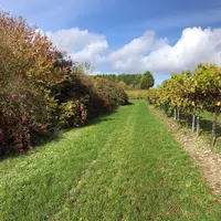 Accéder à l'écorégime, aide prévue par la nouvelle PAC, suppose de répondre au statut d'agriculteur actif.