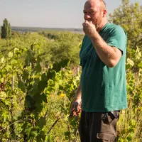 Jan Tailler, vigneron à L’arbre de Viké, à Domgermain, en Meurthe-et-Moselle s'est lancé sur le créneau des vins primeurs en 2023.
