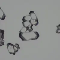 Des cristaux de tartrate de calcium se forment plus fréquemment dans les vins, à la faveur du changement climatique.