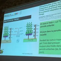 La distance des rameaux vis-à-vis du sol a un réel impact sur la température des bourgeons.